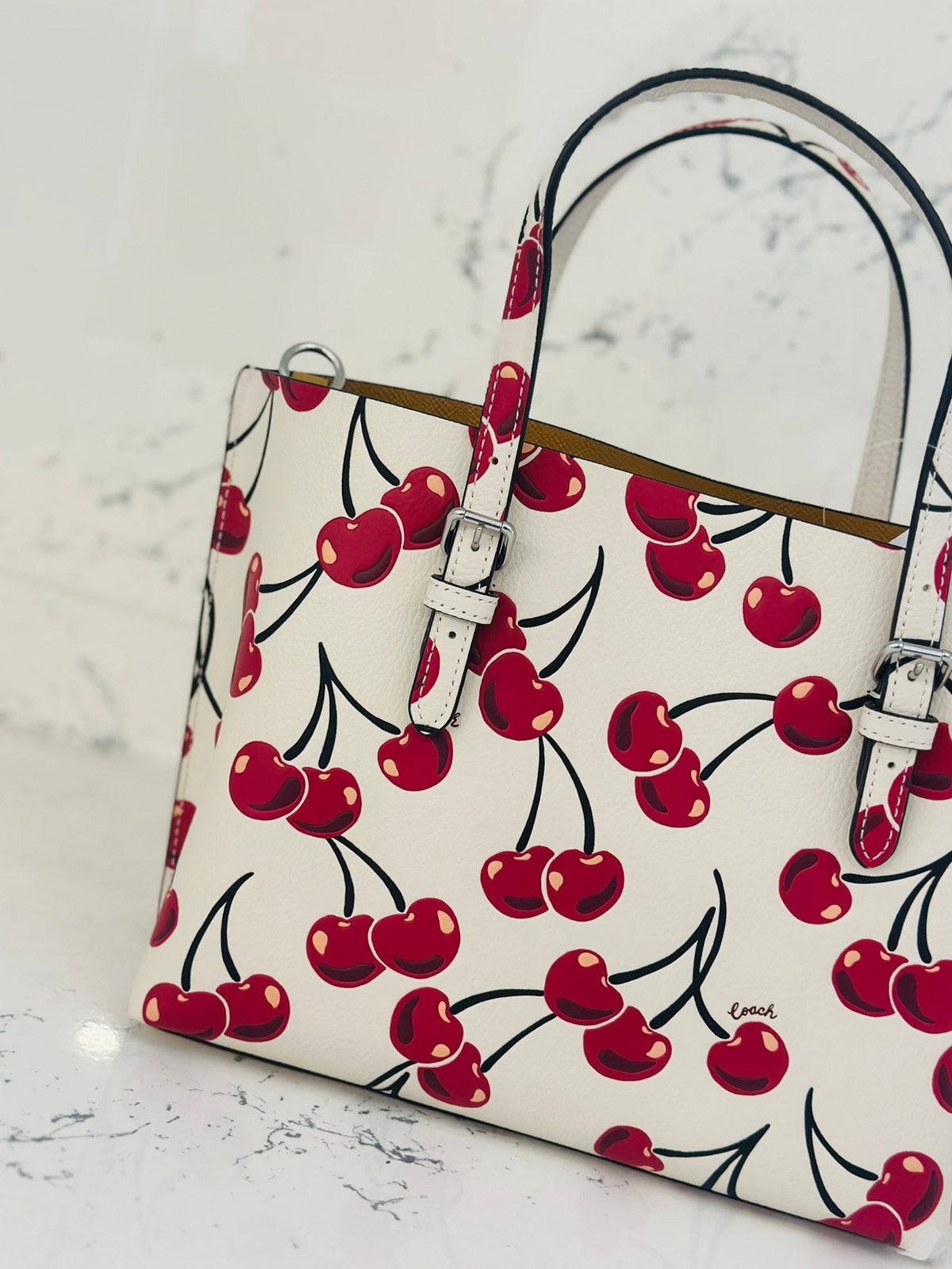 Coach cherry handbag