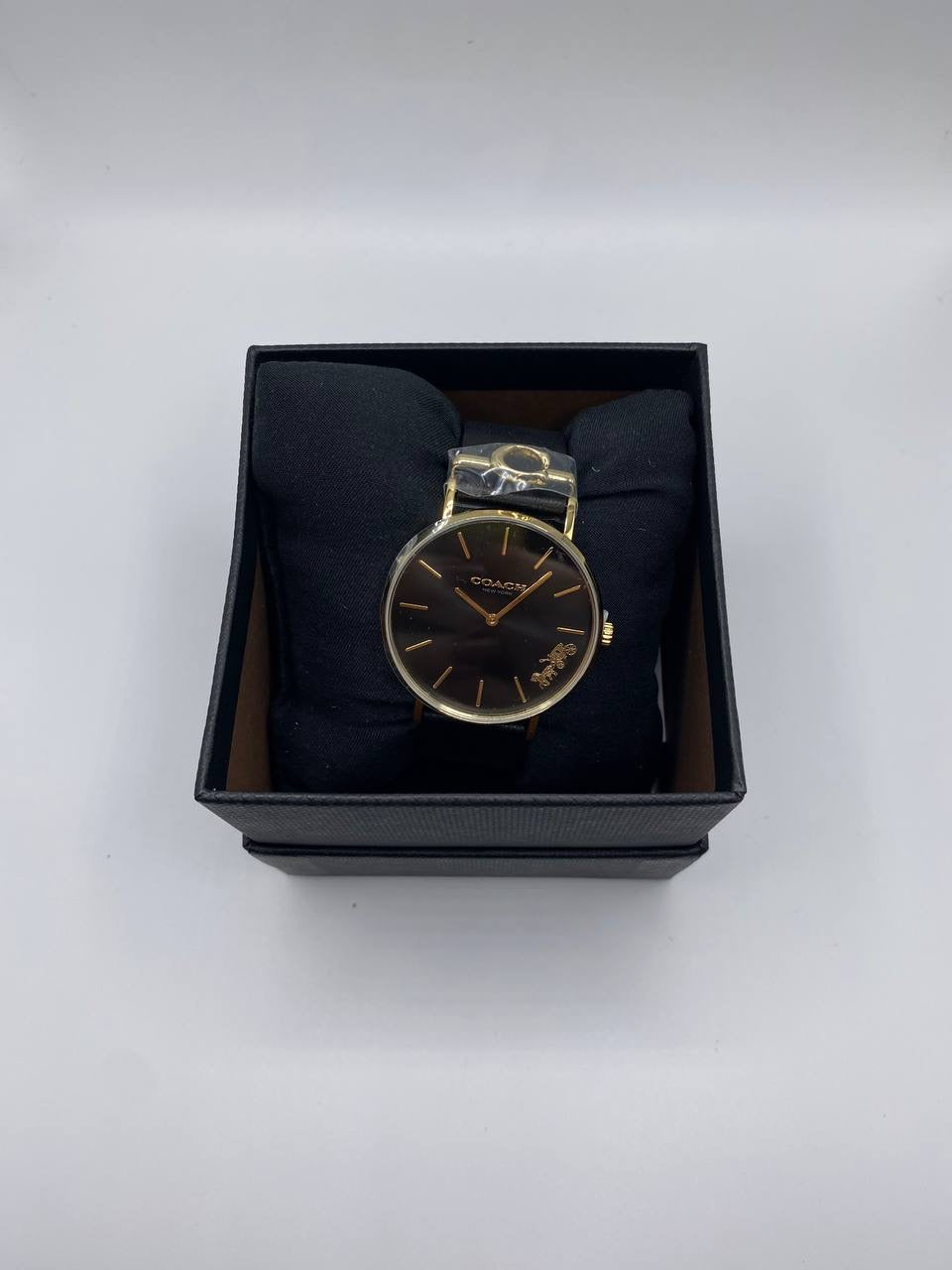 Coach watch