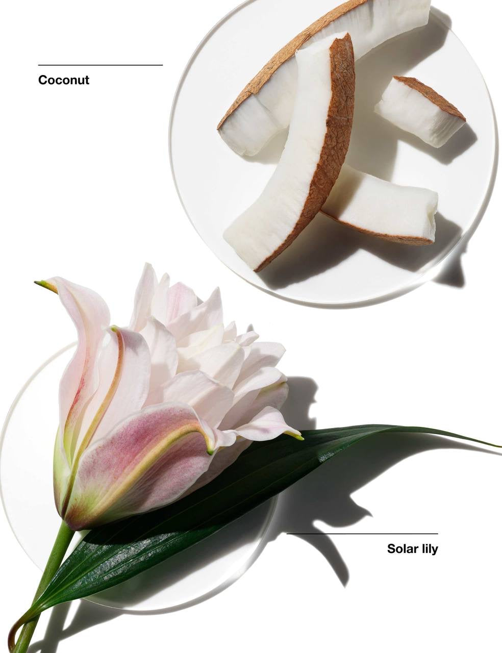 Clinique My Happy Lily Of The Beach Perfume
15 ml