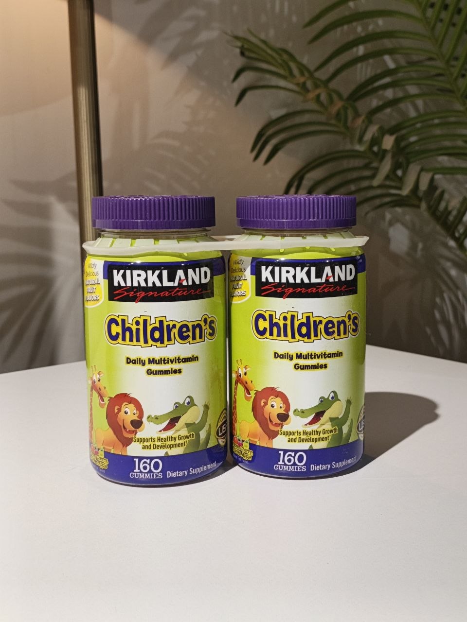 Kirkland children's daily multivitamin (160 gummies)