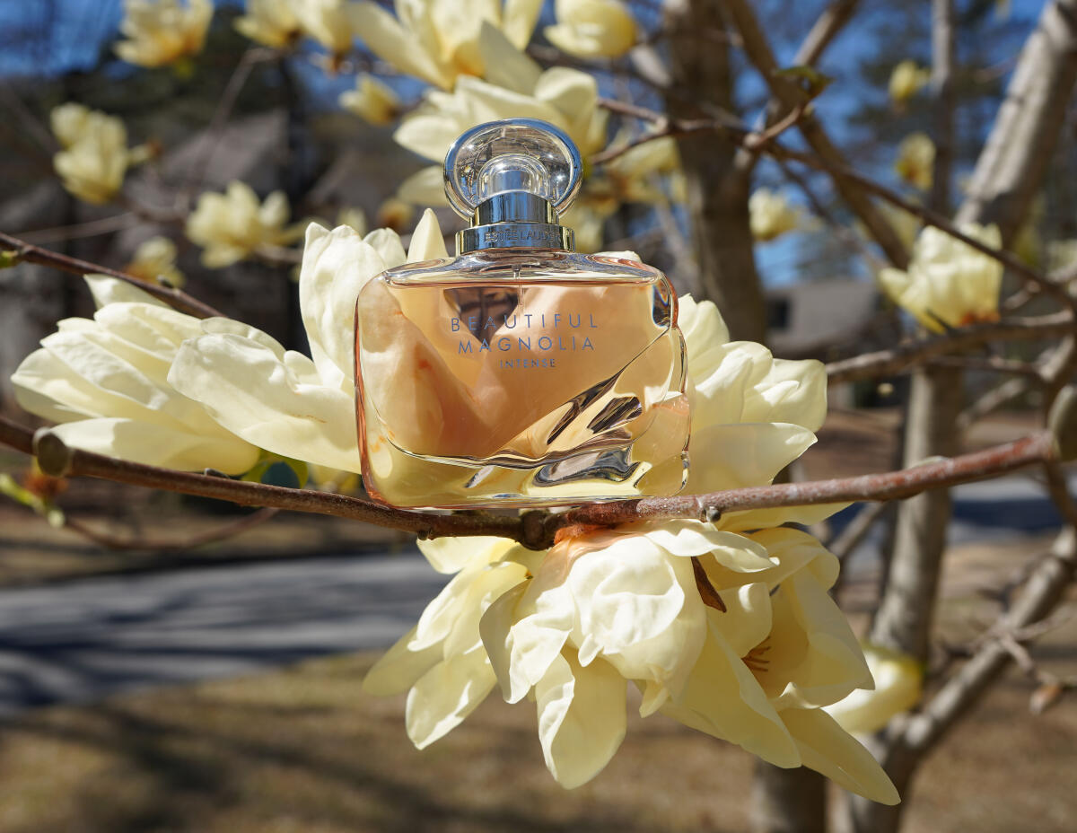Beautiful Magnolia intense Estee Lauder Eau De Parfum Spray
