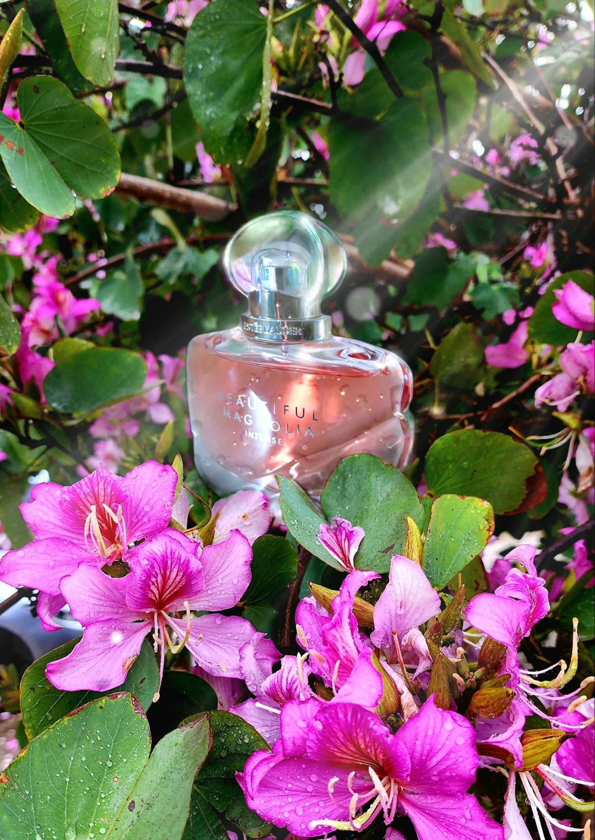 Beautiful Magnolia intense Estee Lauder Eau De Parfum Spray