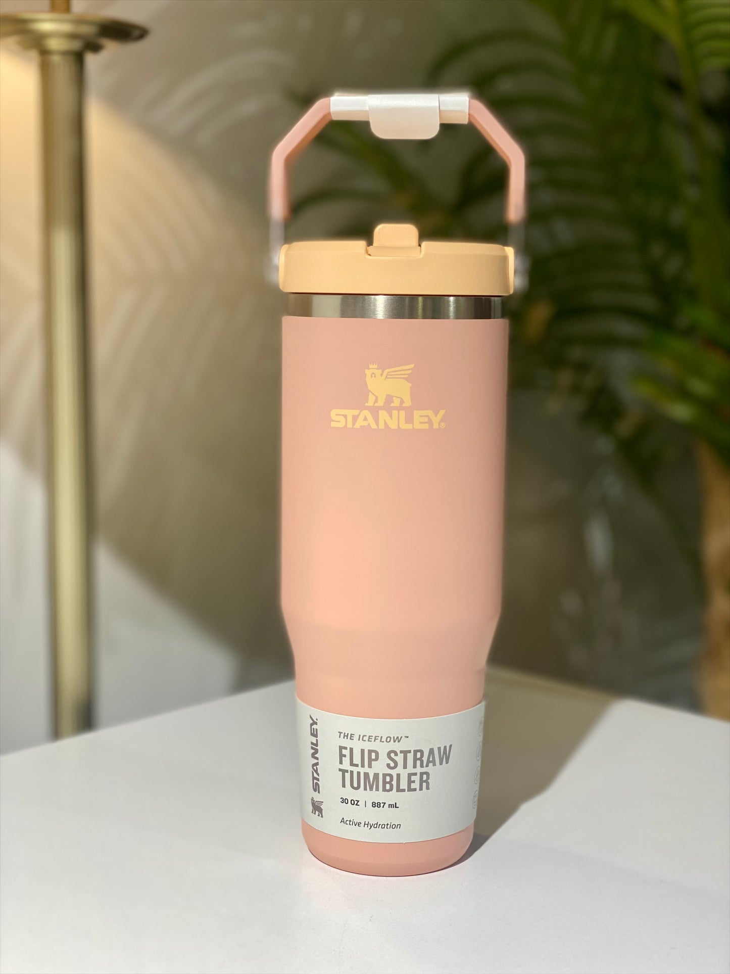 Stanley bottle 30 oz