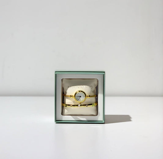 Argento vivo watch set