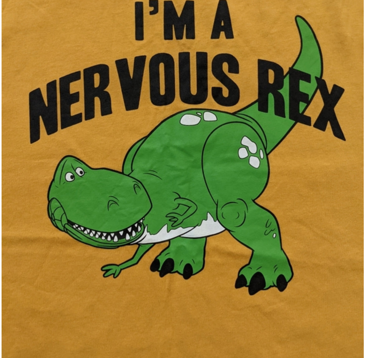 Toy Story shirt