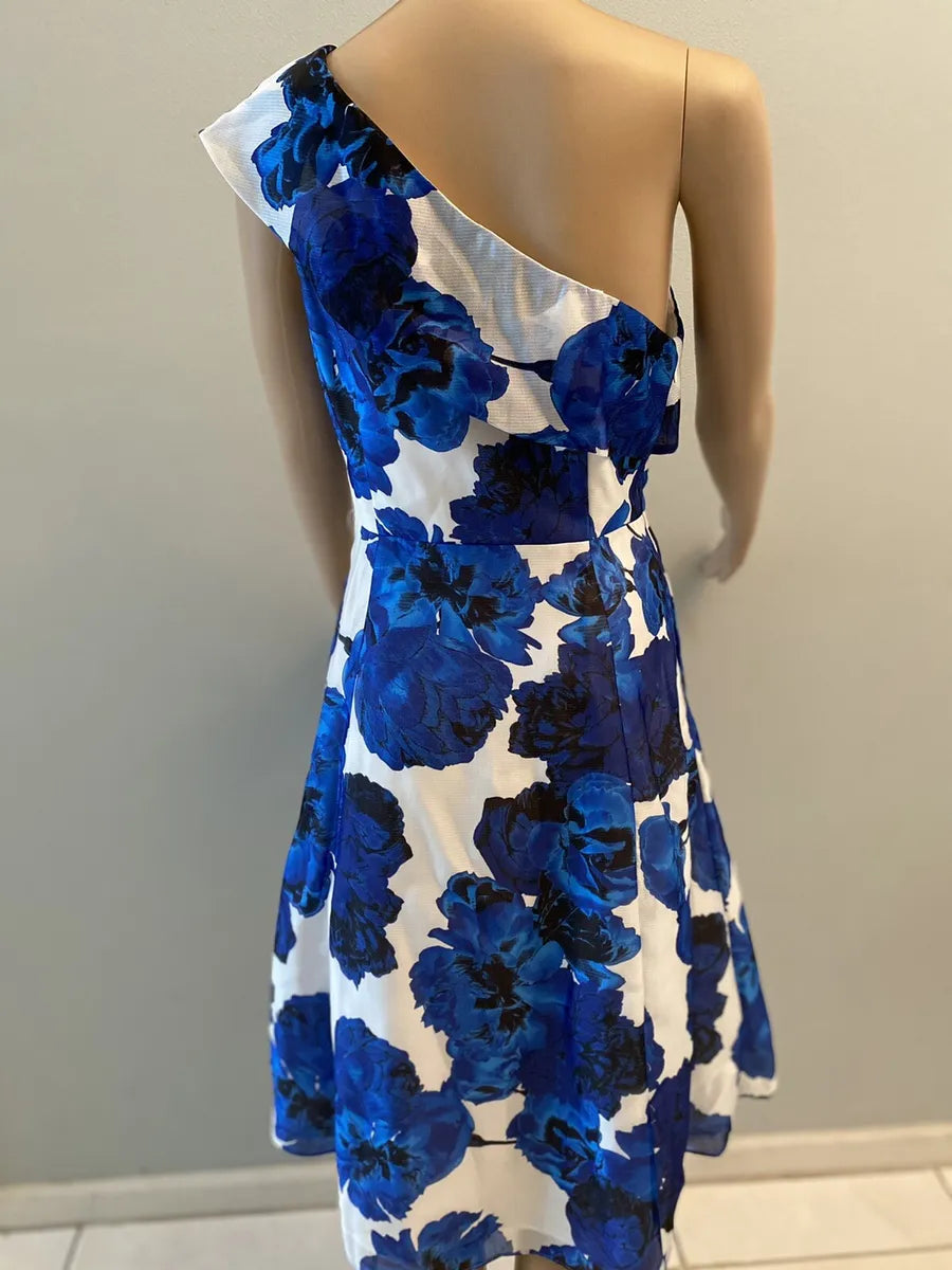 Adrianna papell dress