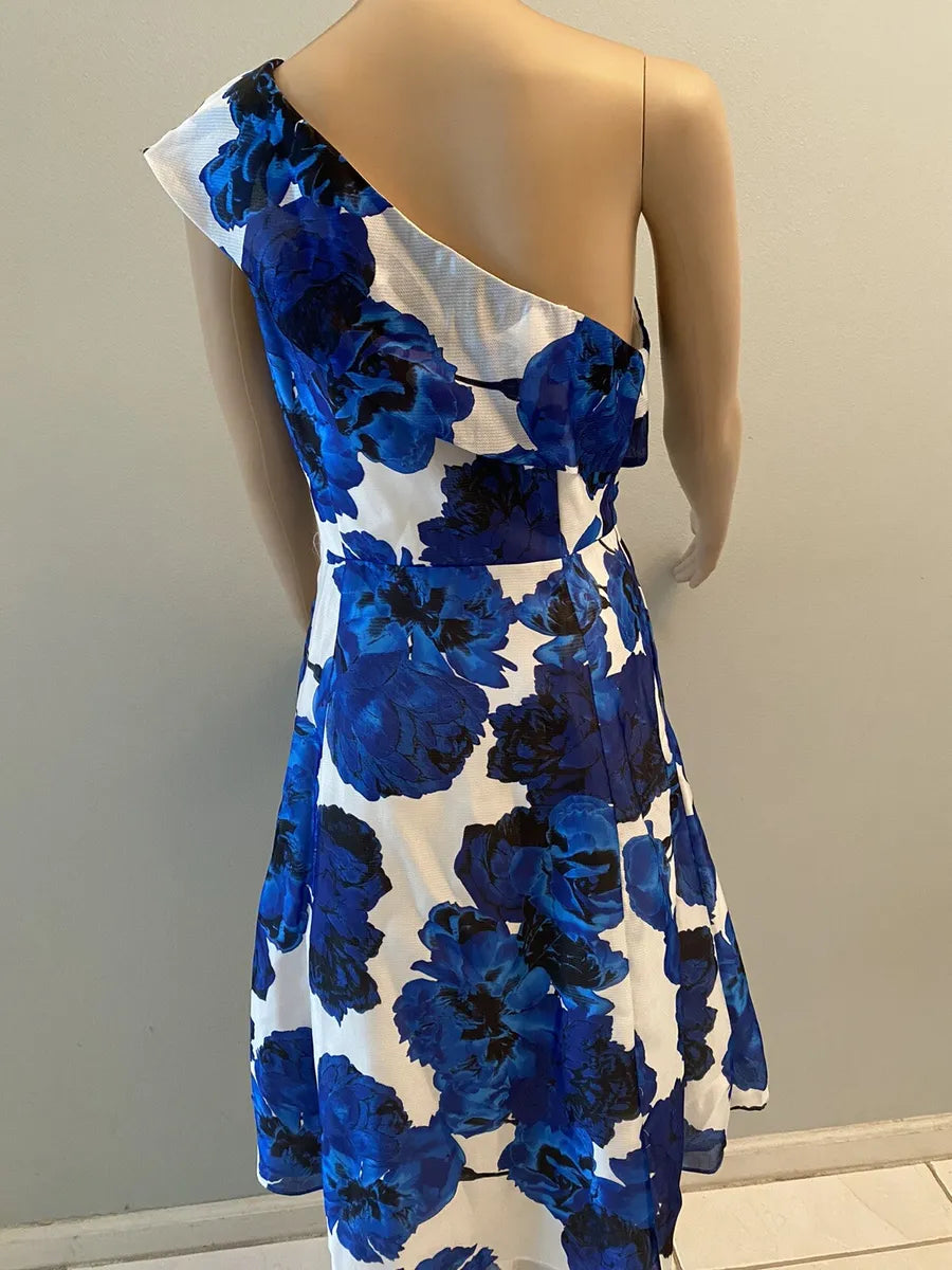 Adrianna papell dress