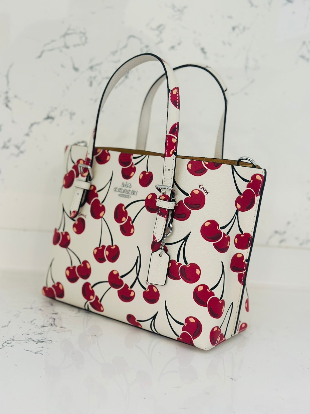 Coach cherry handbag