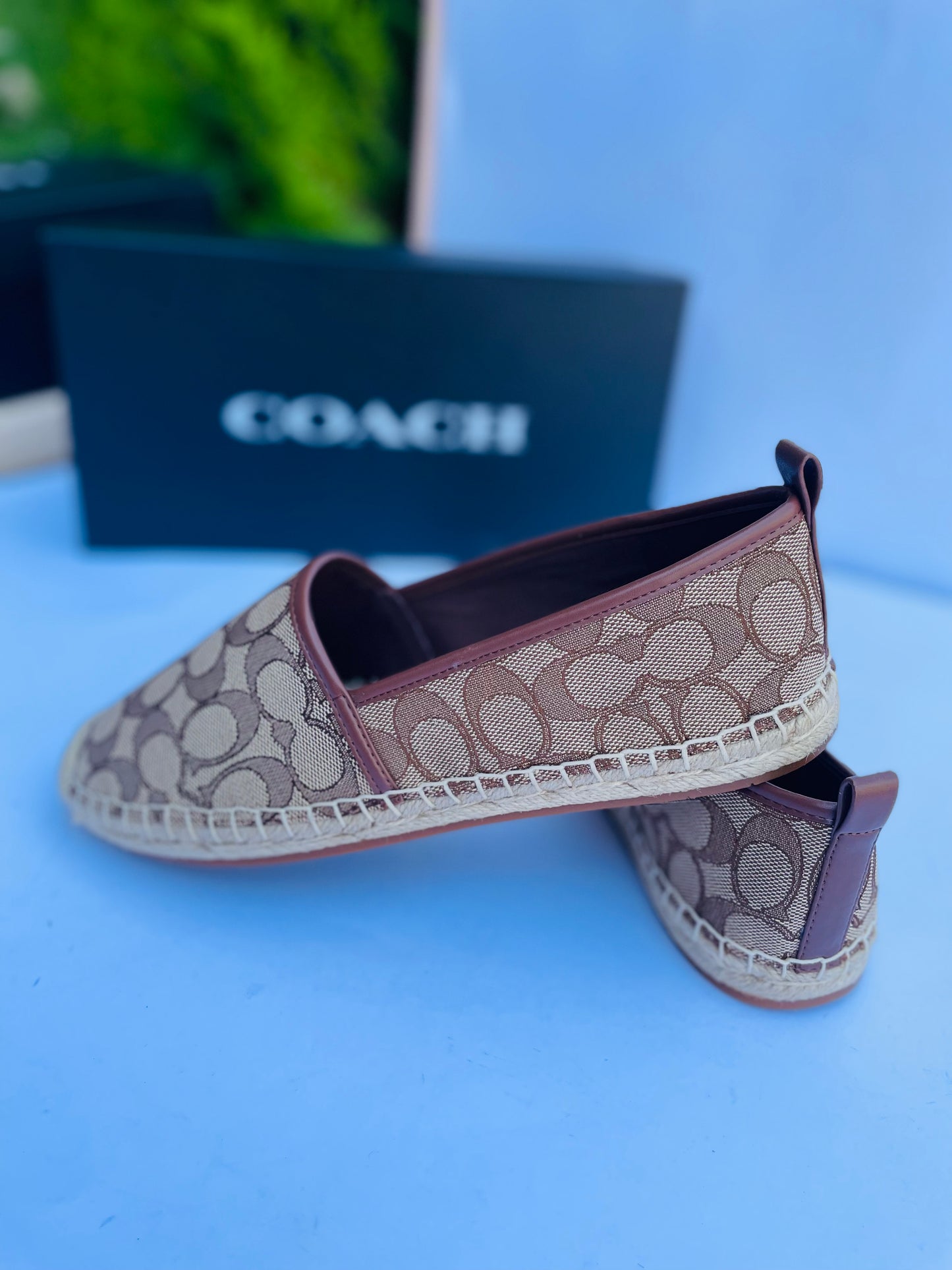 Coach shoes