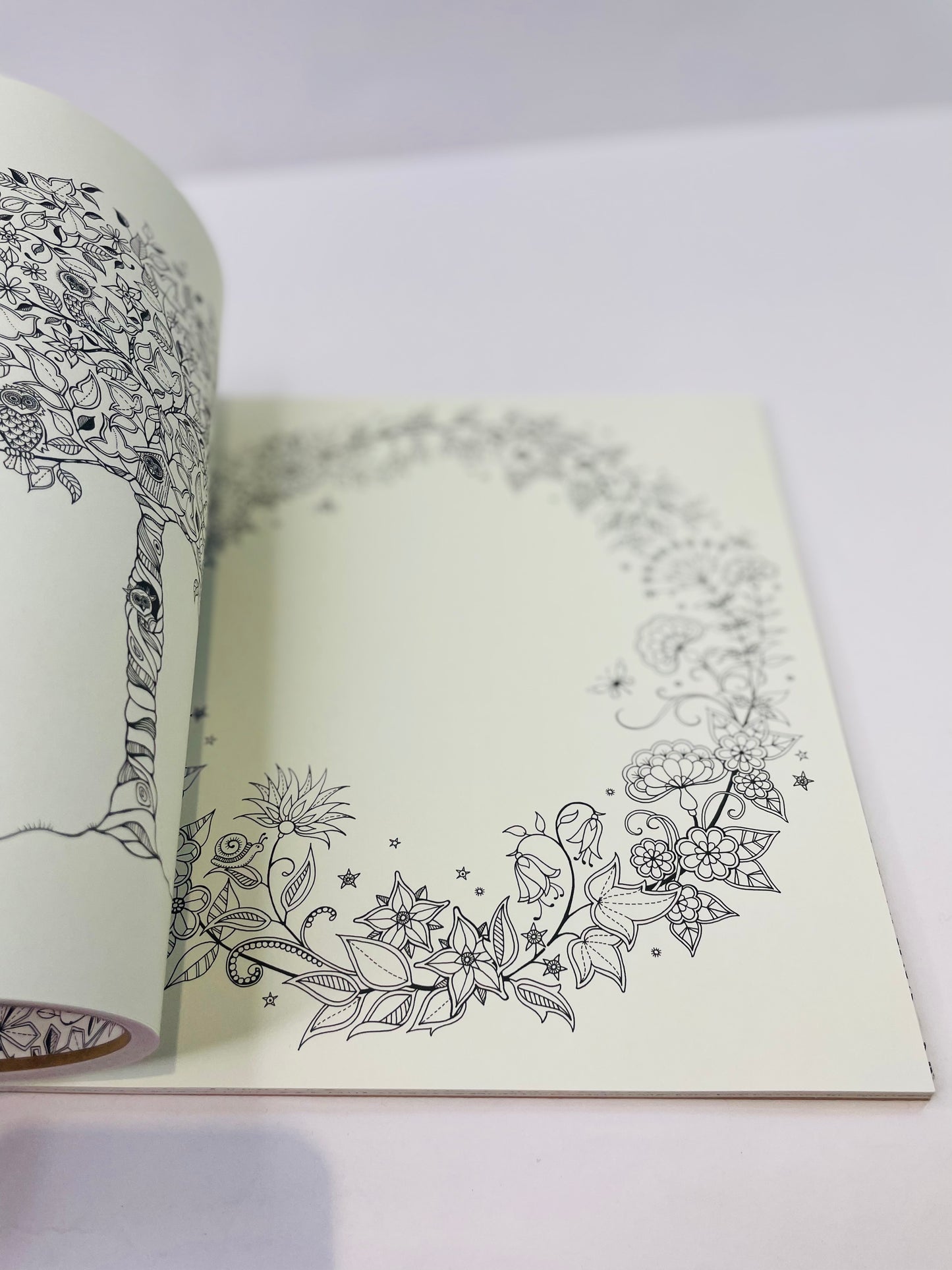 Secret garden    Coloring books