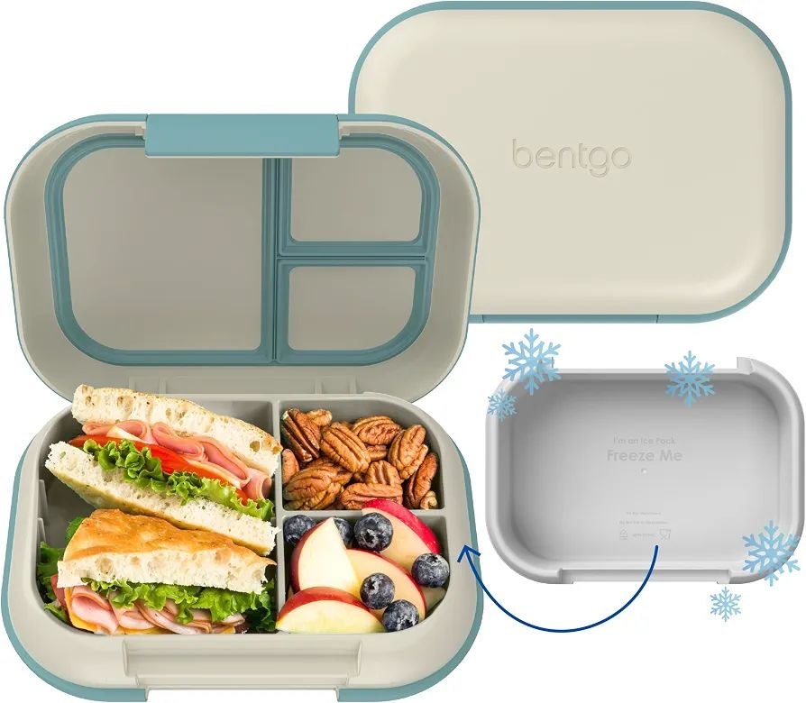 Bentgo chill Lunch box