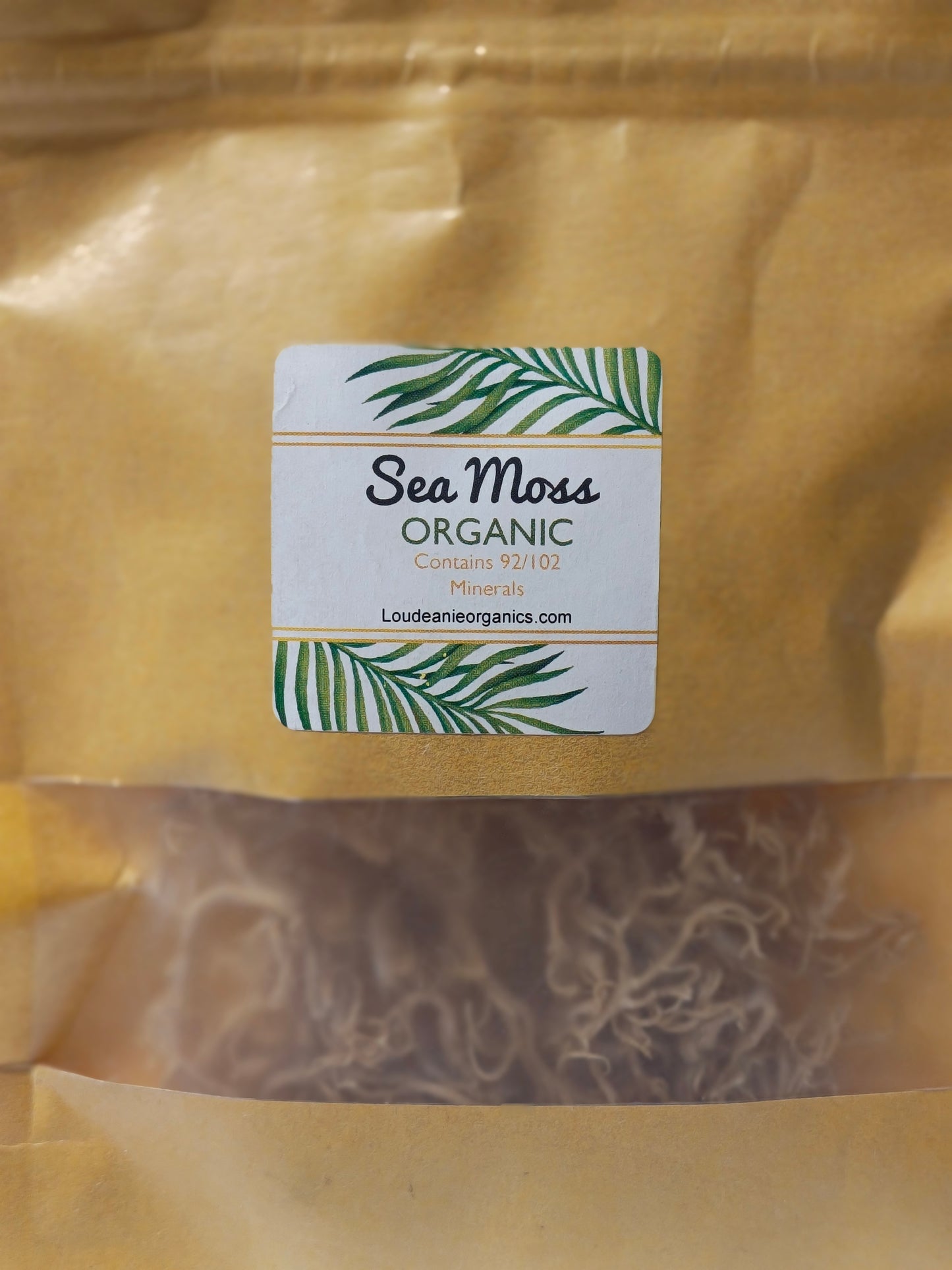 Sea Moss
