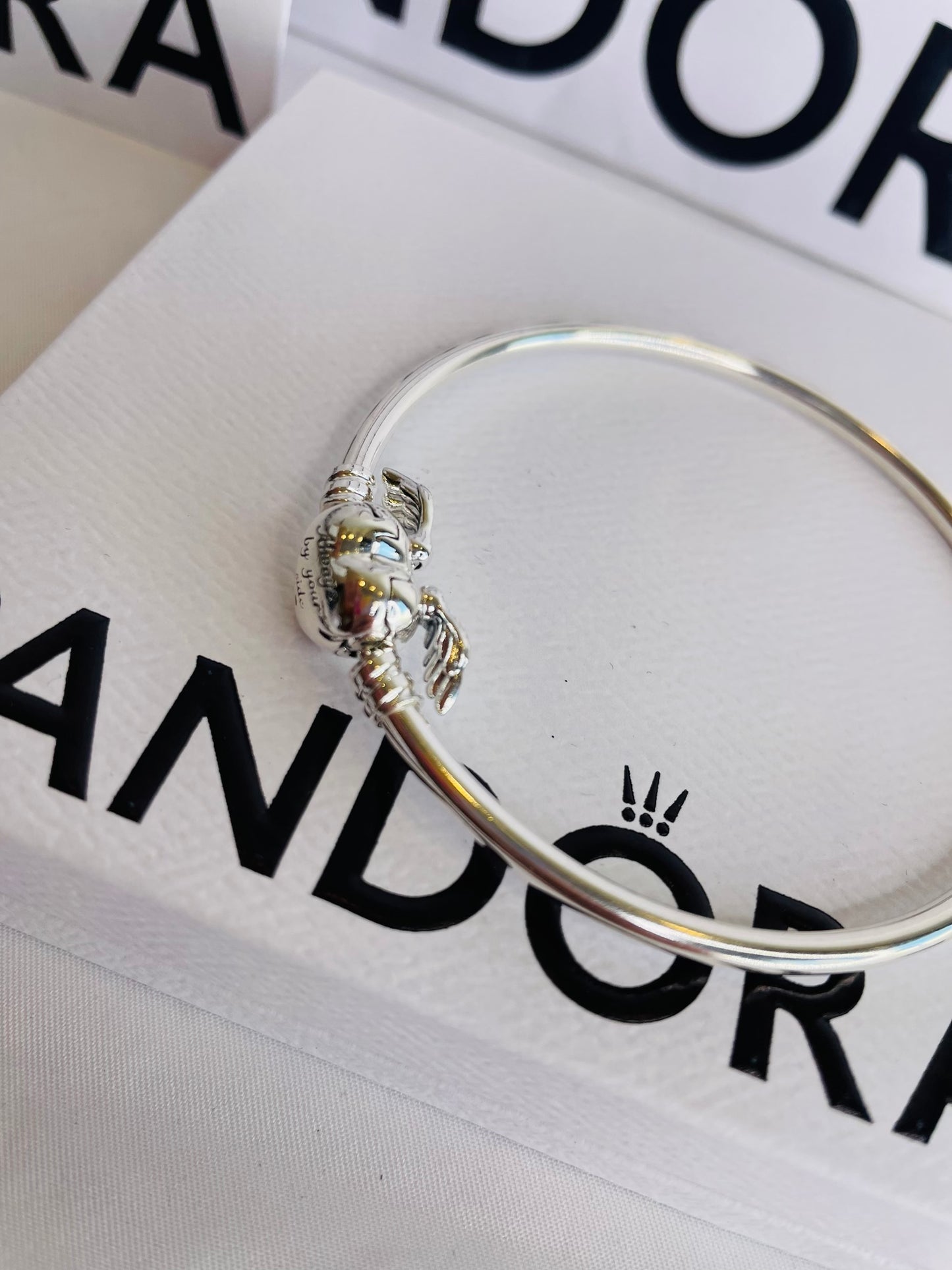 Pandora bracelet