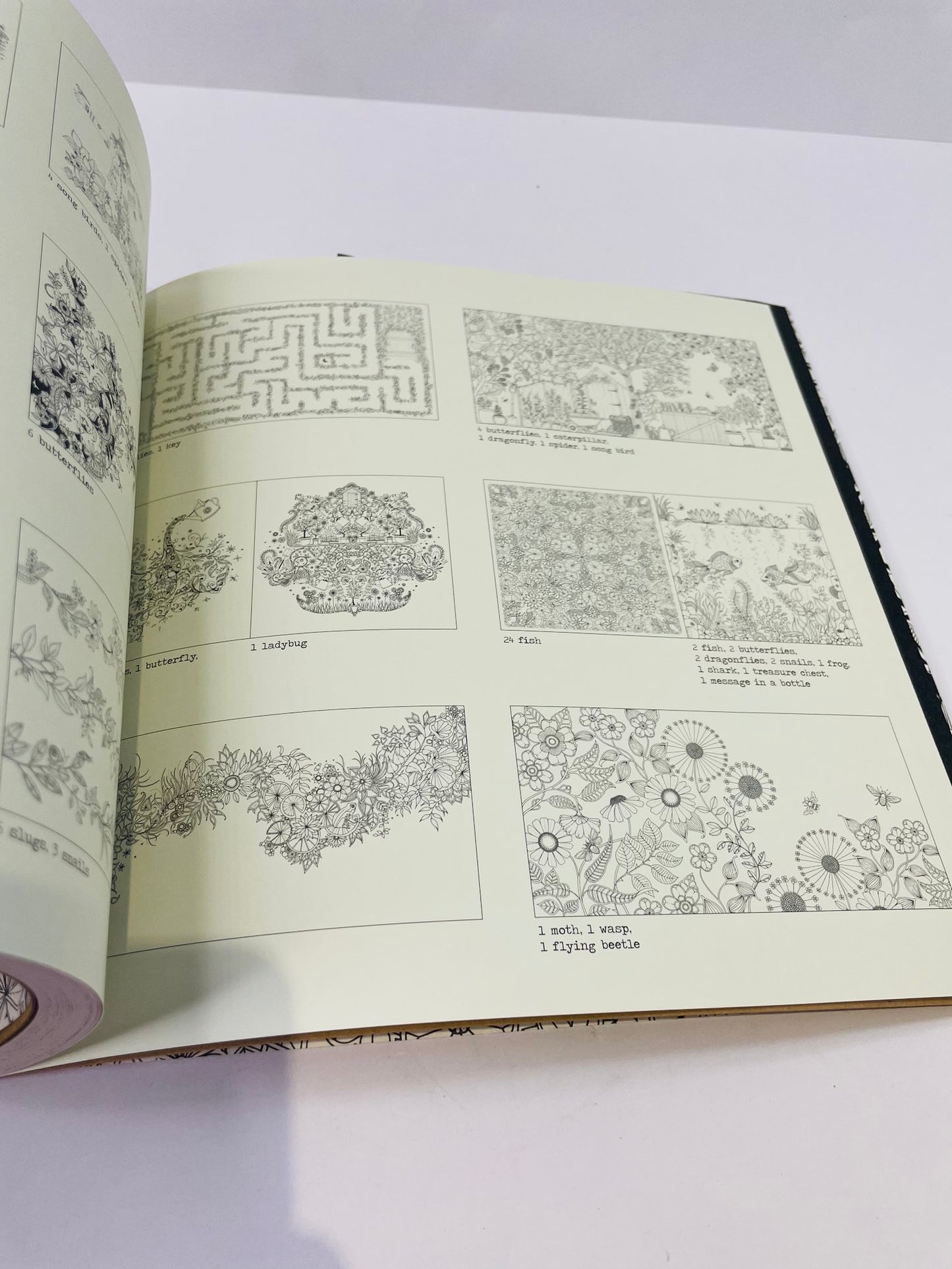 Secret garden    Coloring books