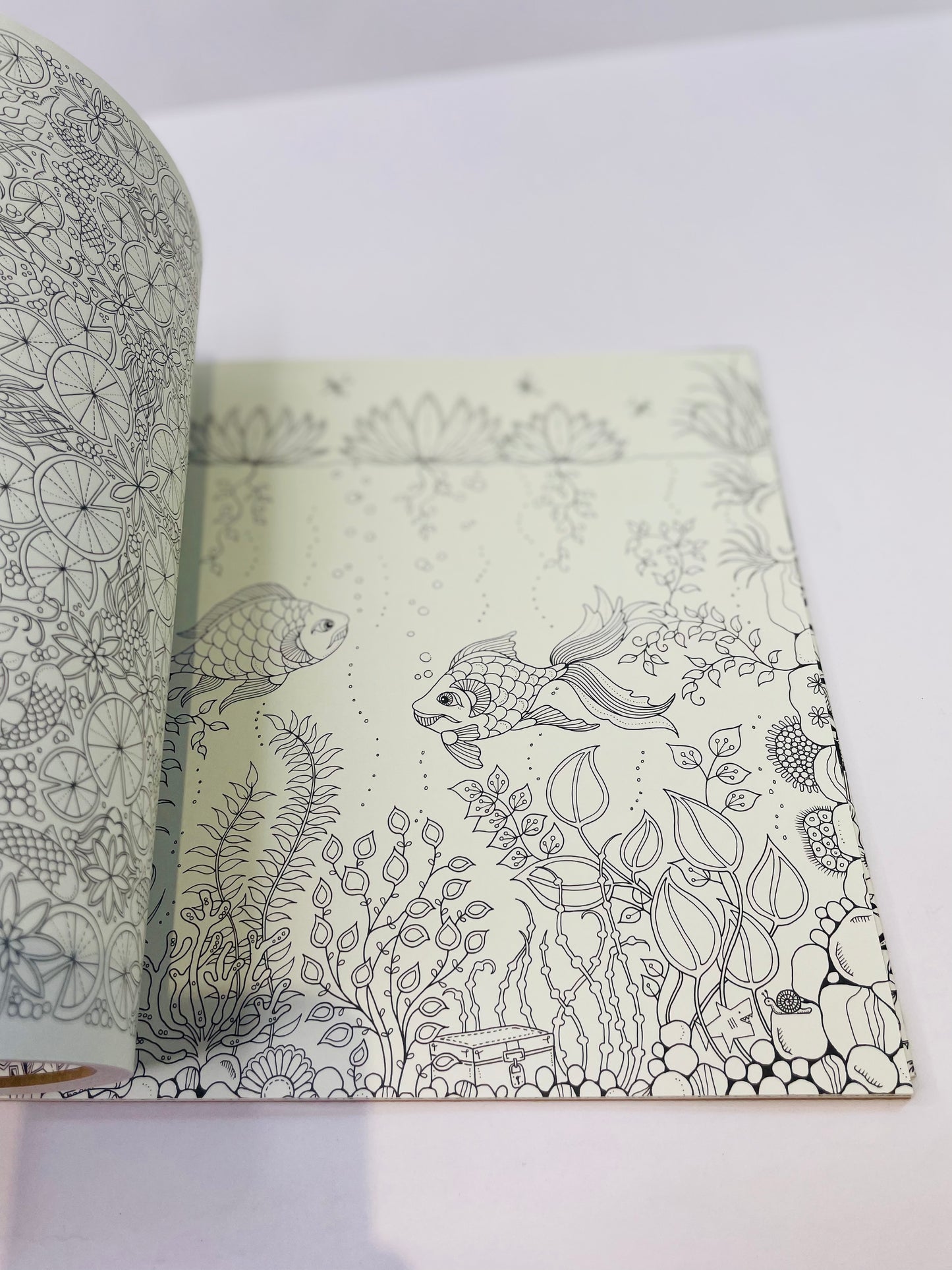 Secret garden    Coloring books