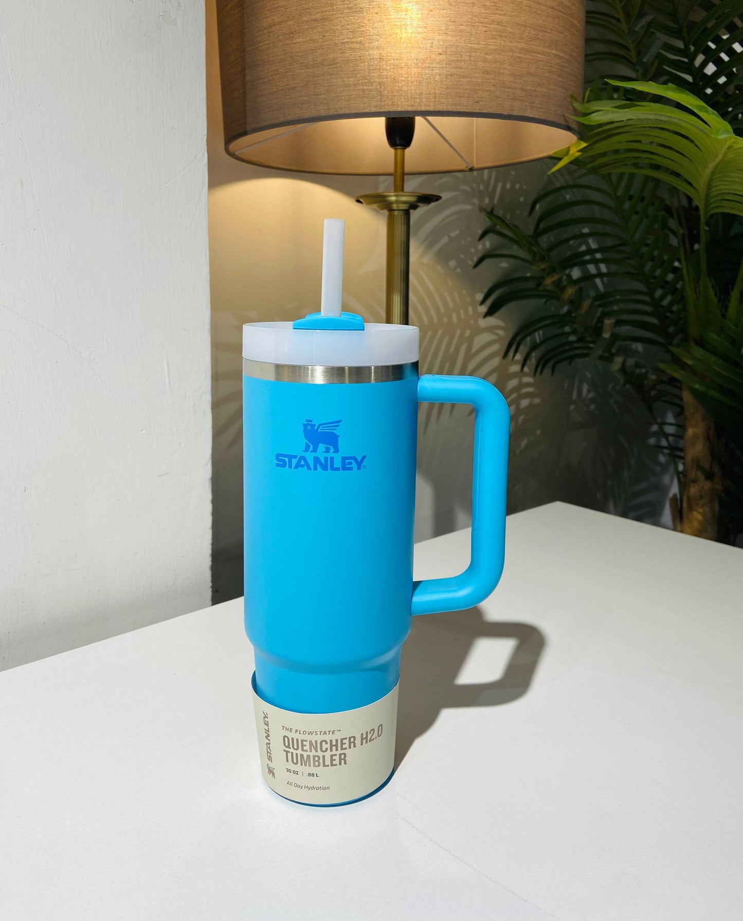 Stanley bottle 30 oz