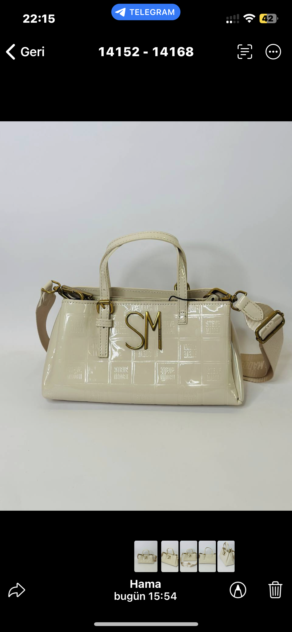 Steve Madden bag