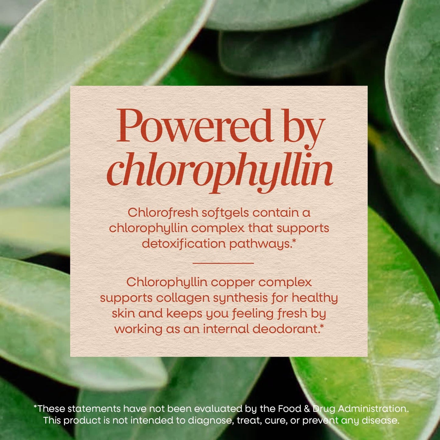 Nature's Way Chlorofresh
