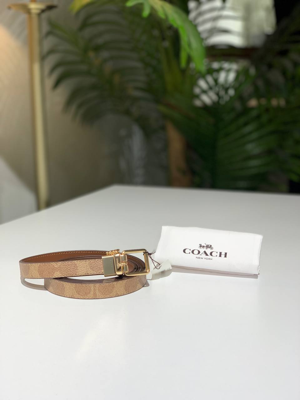 Coach reversible belt