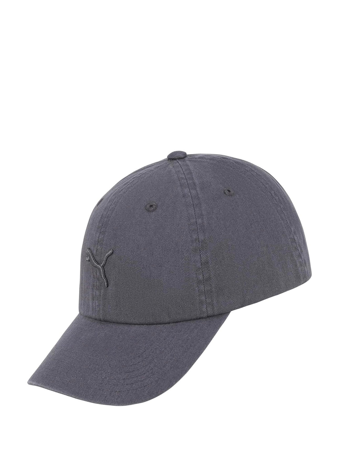 Puma hat