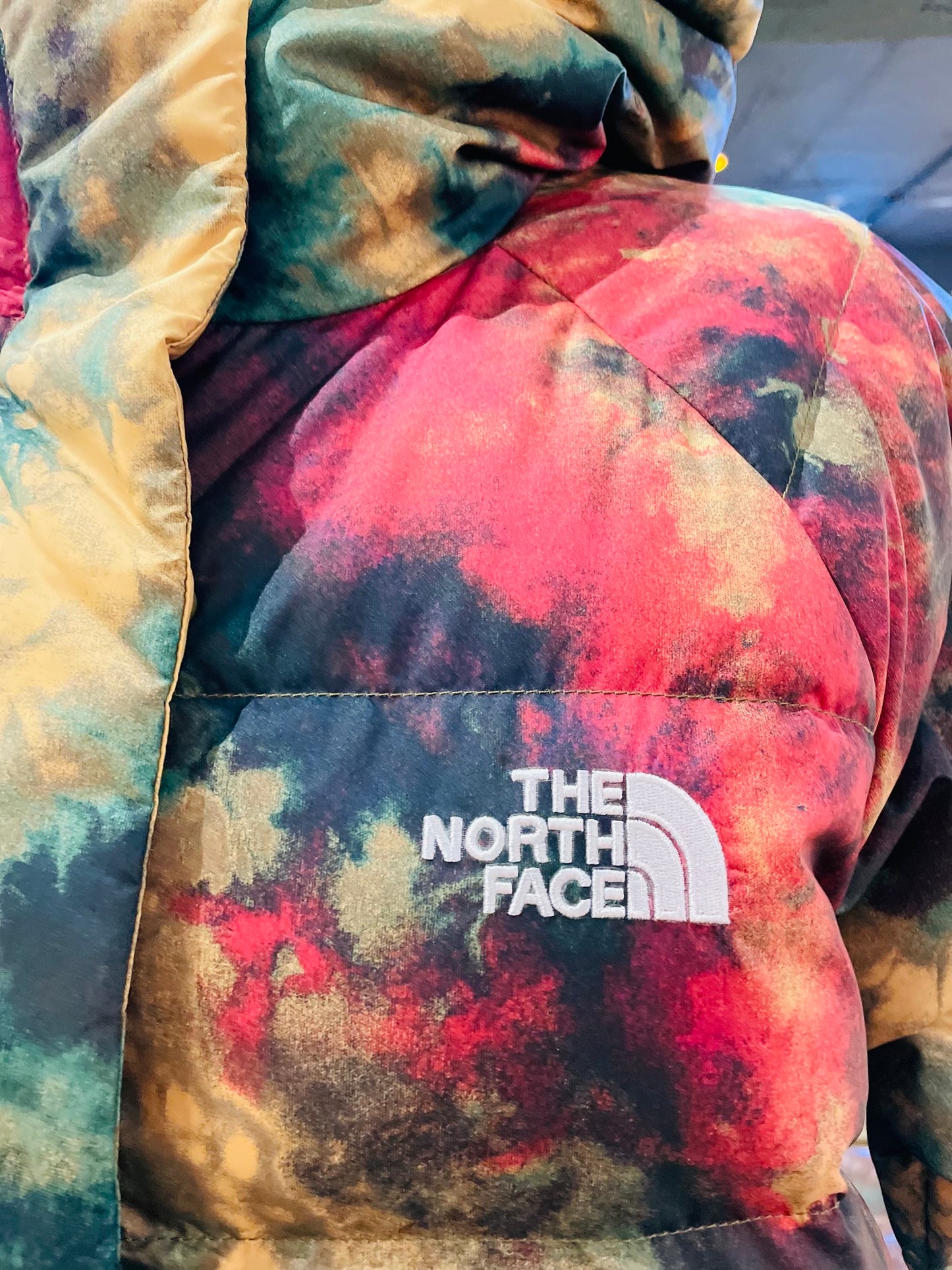 The north face coat