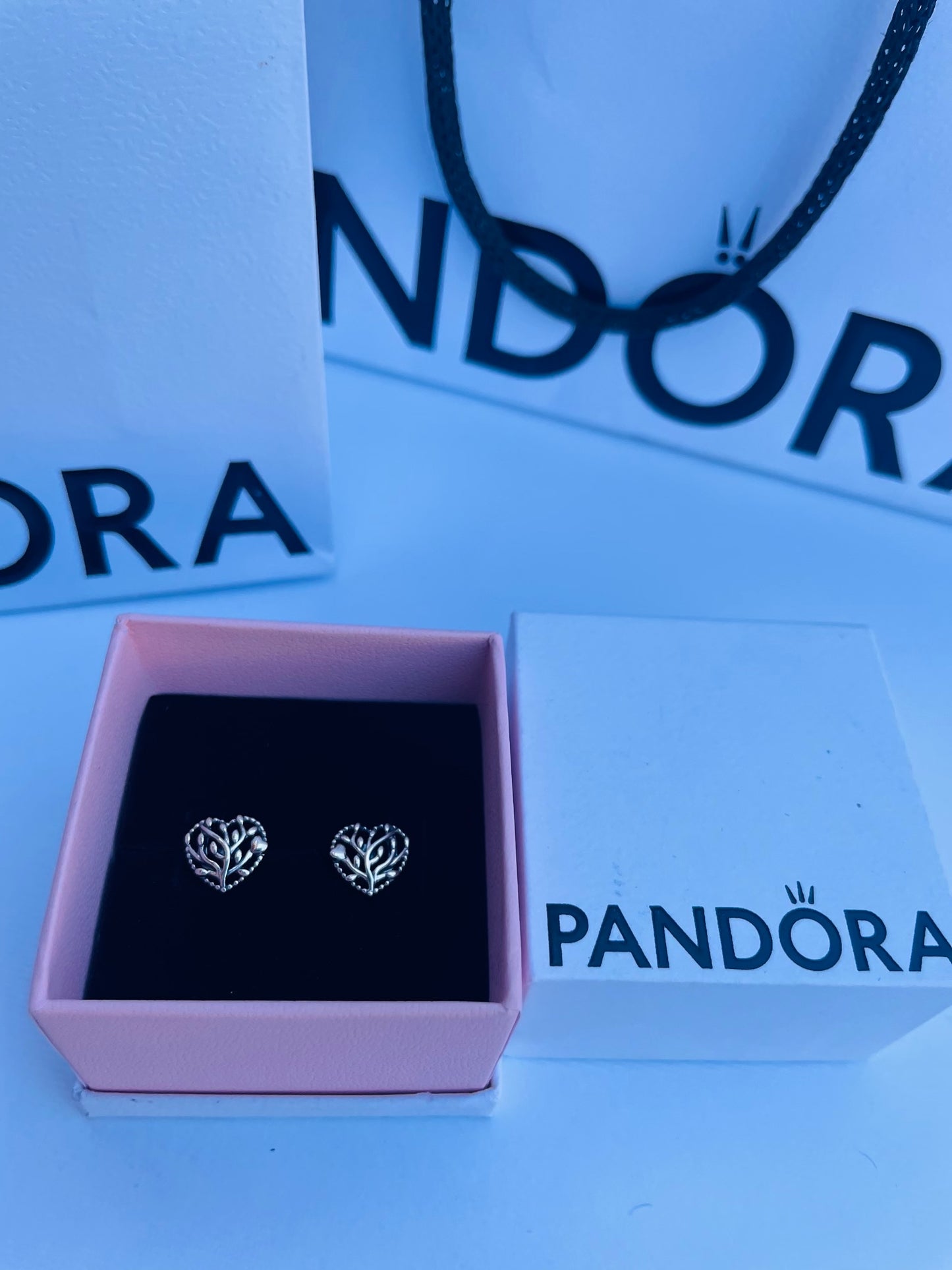 Pandora earrings