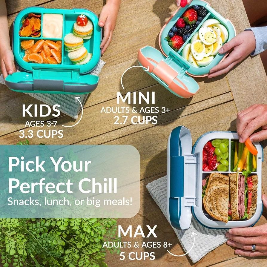 Bentgo chill Lunch box