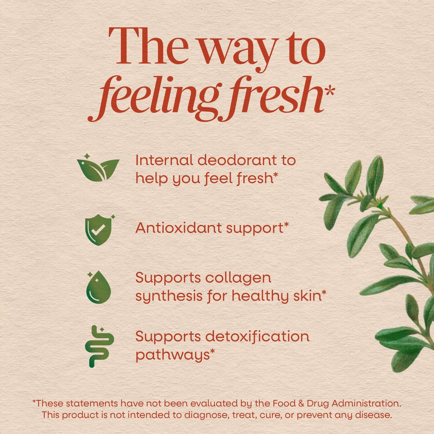 Nature's Way Chlorofresh