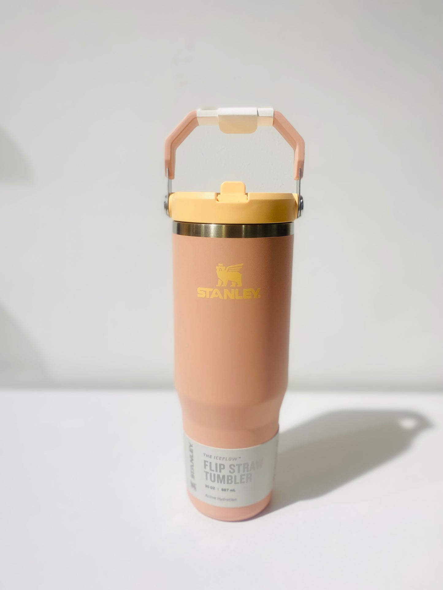 Stanley bottle 30 oz
