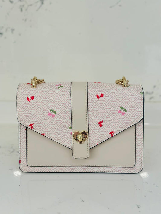 Aldo bag