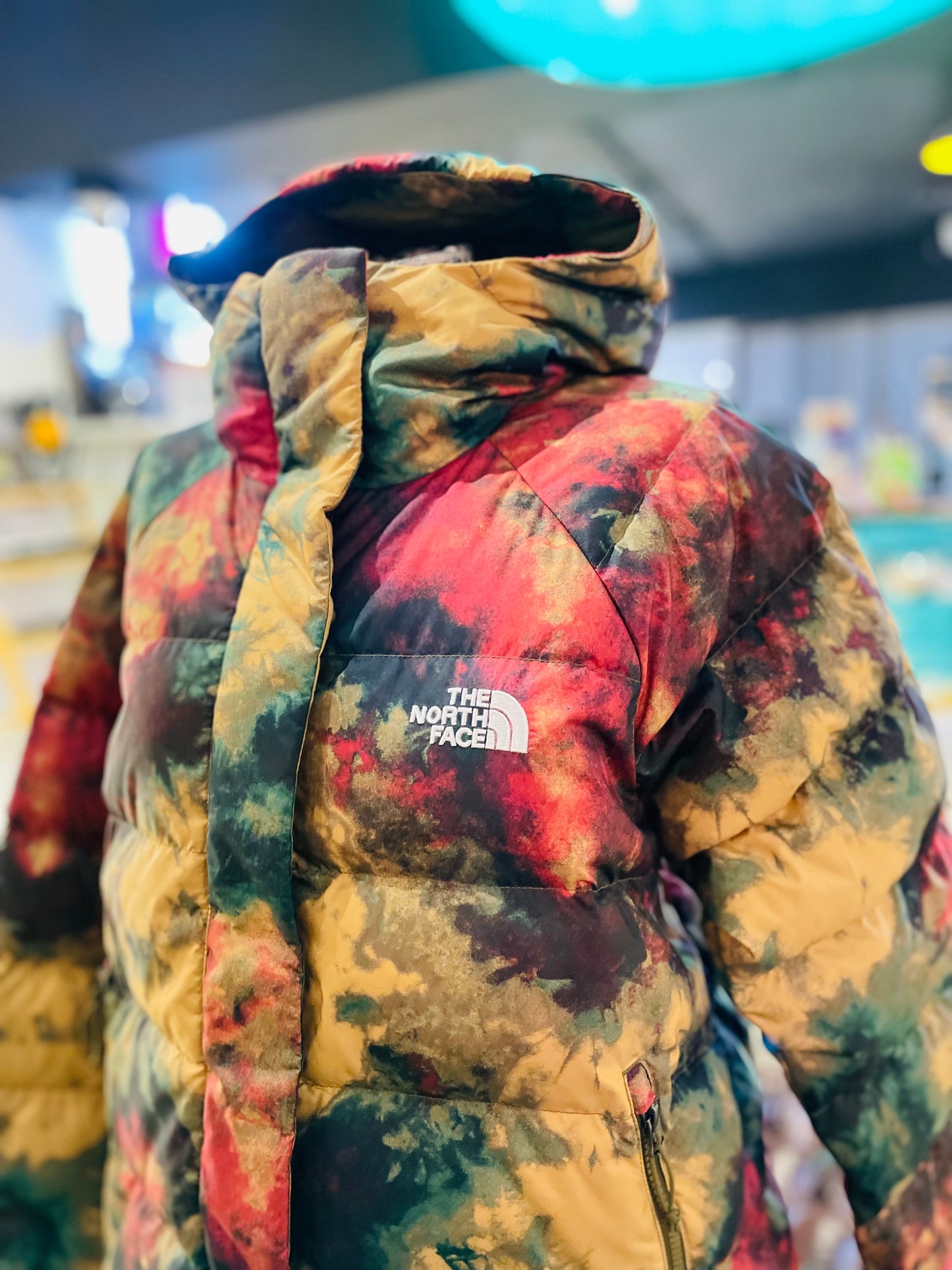 The north face coat