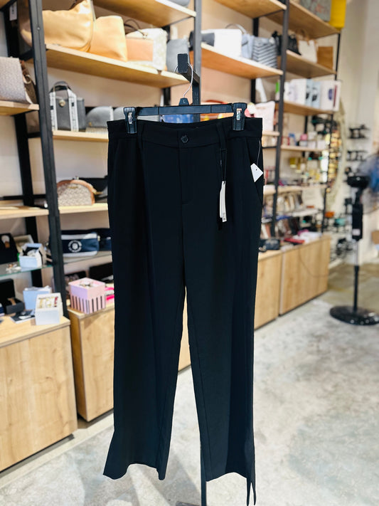 Sanctuary  pant size 29