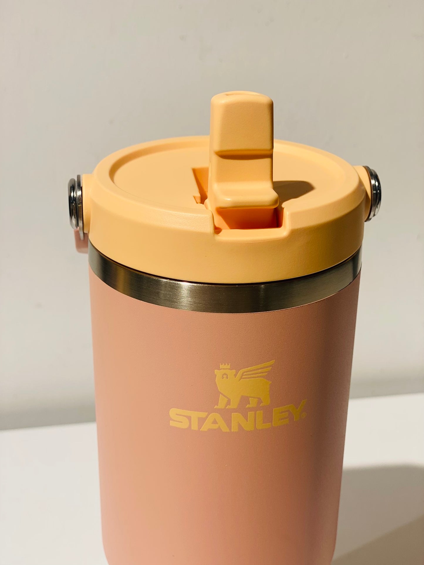 Stanley bottle 30 oz