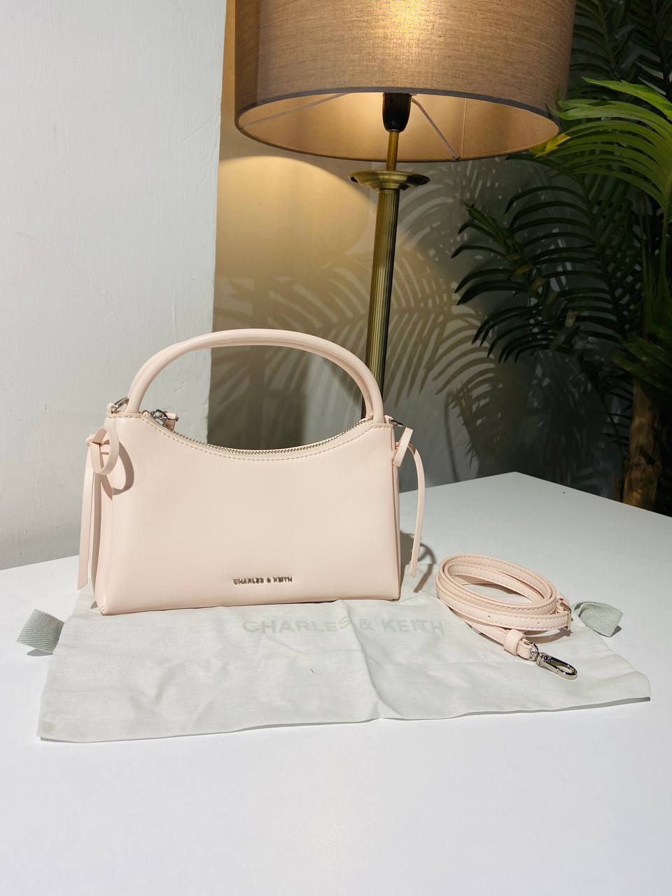 Charles & keith bag