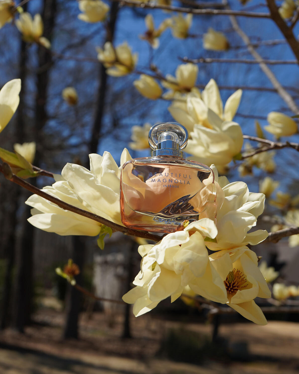 Beautiful Magnolia intense Estee Lauder Eau De Parfum Spray