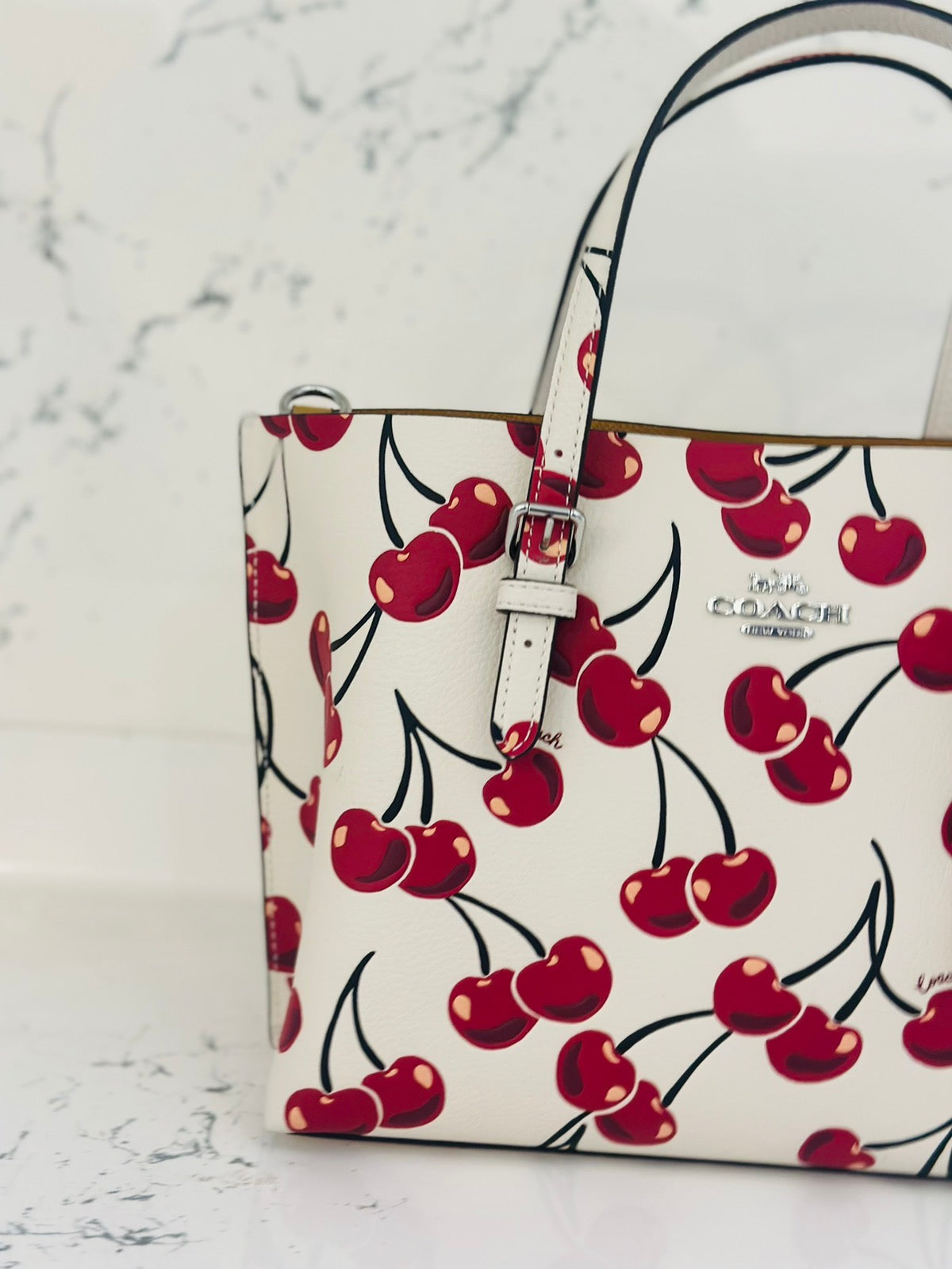Coach cherry handbag