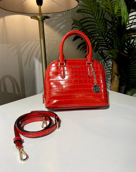 Dkny bag