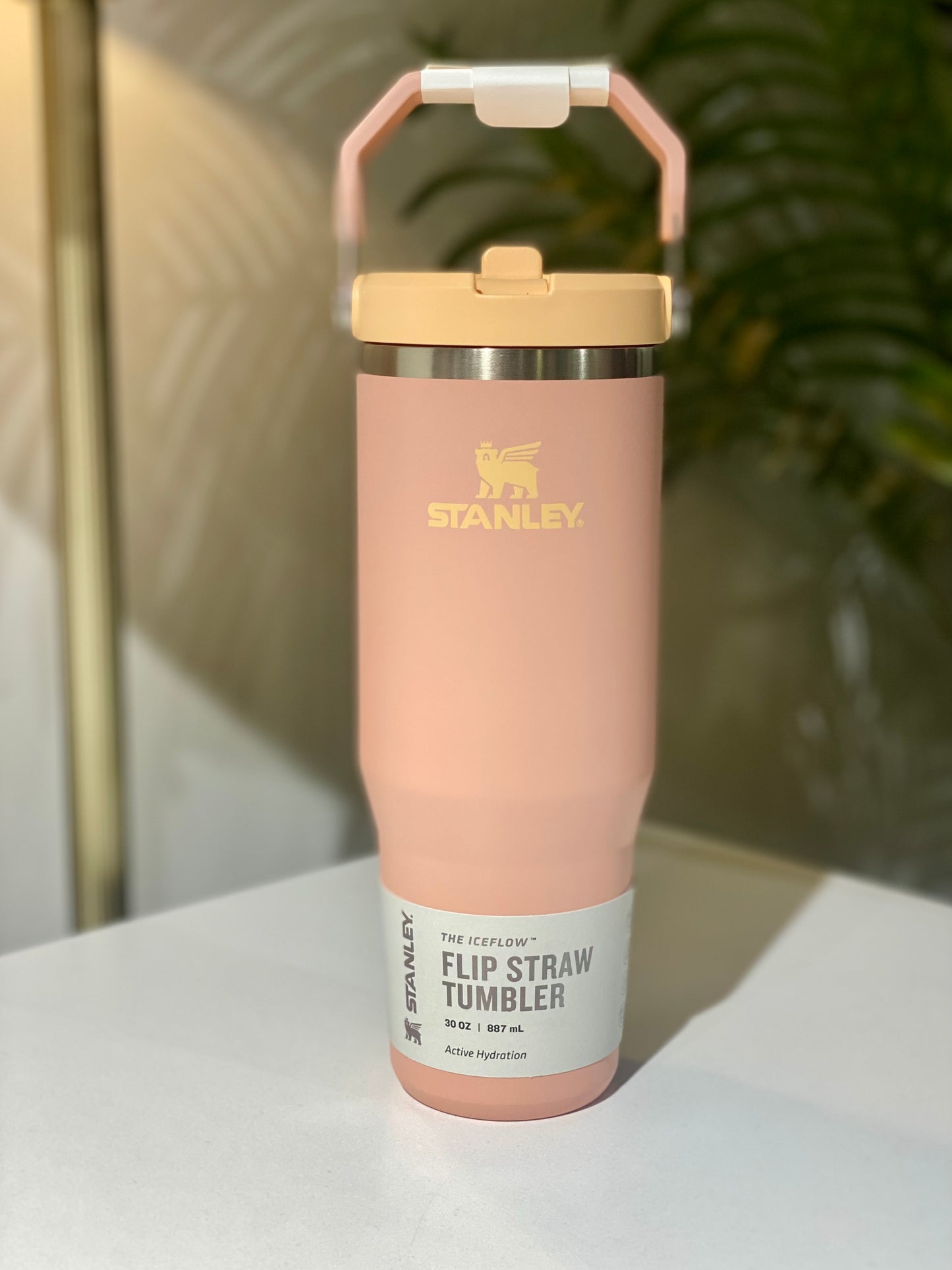 Stanley bottle 30 oz