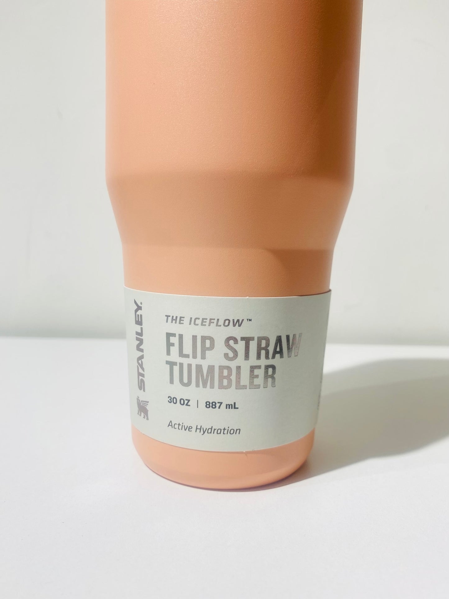 Stanley bottle 30 oz