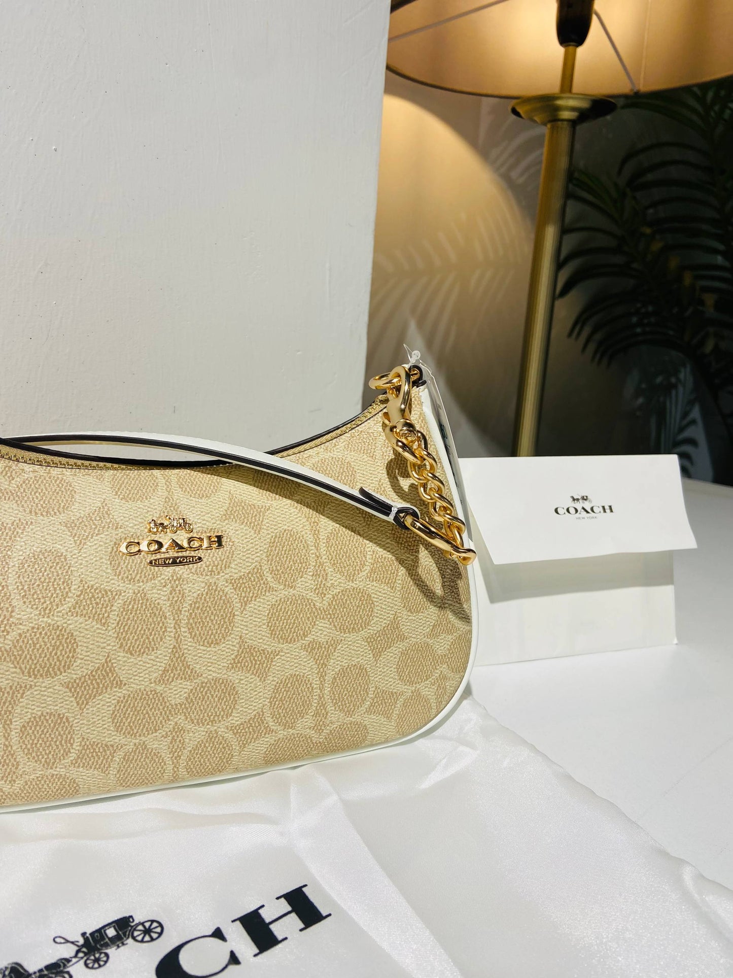 Coach bag