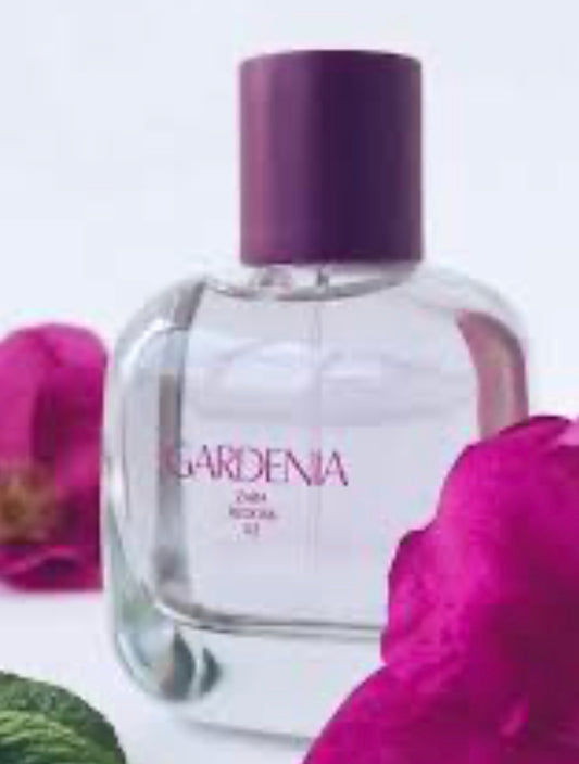 Gardenia Zara perfume